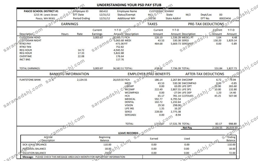 Pasco school district pay stub Word and PDF template